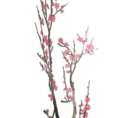 D'Arcy Bellamy: Winter Blossoms image 4