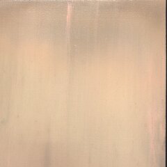 Mark Acetelli: Faded Rose image 4