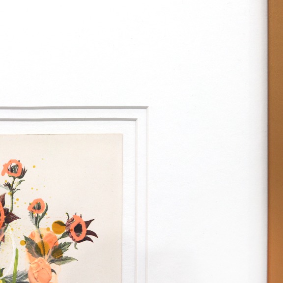 Lee Herring: Marsh Potentil image 4