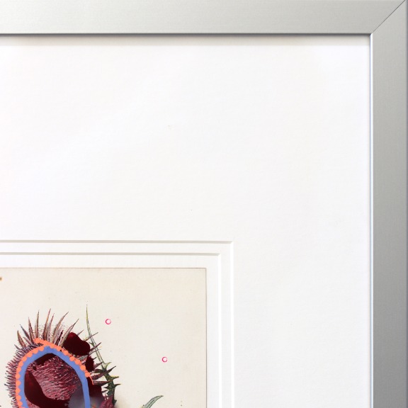 Lee Herring: Nodding Thistle image 4