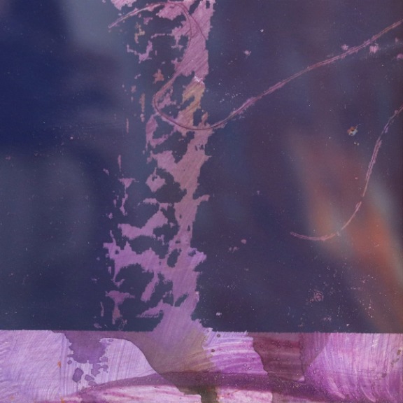 Marco Pittori: Purple and Yellow Palms image 5