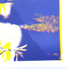 Marco Pittori: Yellow Bikini image 5