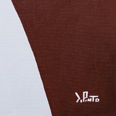 Federico Pinto Schmid: Vulcano image 5