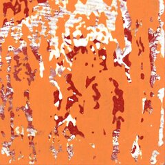 Marco Schmidli: A322 image 5