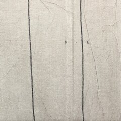 Peter Kuttner: Field of Image II image 5