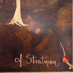 Jennyfer Stratman: Connected Through The Vines image 5