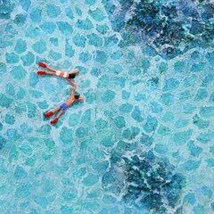 Elizabeth Langreiter: You Will Always Be The One image 5