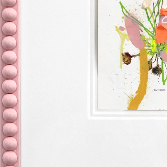 Lee Herring: Botanical Sketch 1 image 5