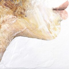Alessandro Casetti: Fluido Vitale image 5