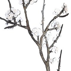 D'Arcy Bellamy: Winter Blossoms image 5