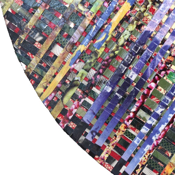 Ashleigh Sumner: Birds of Paradise Lost image 5