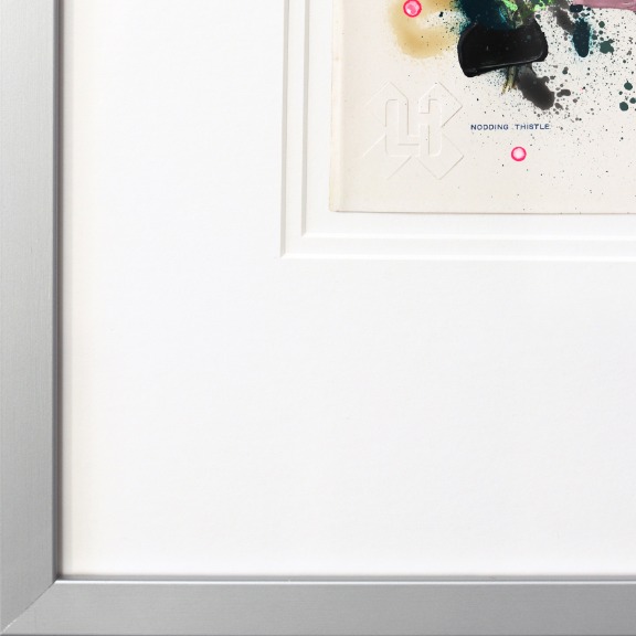 Lee Herring: Nodding Thistle image 5