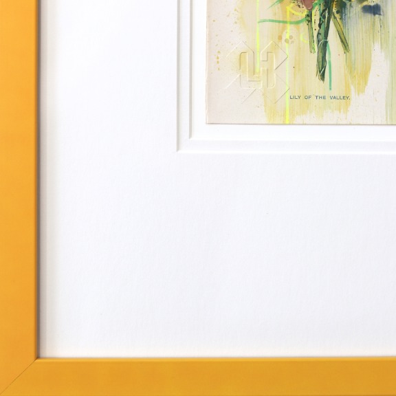 Lee Herring: Lily of the Valley image 5