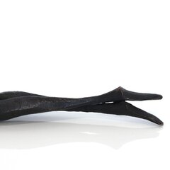 Nando Kallweit: Seane III (1/25) image 6