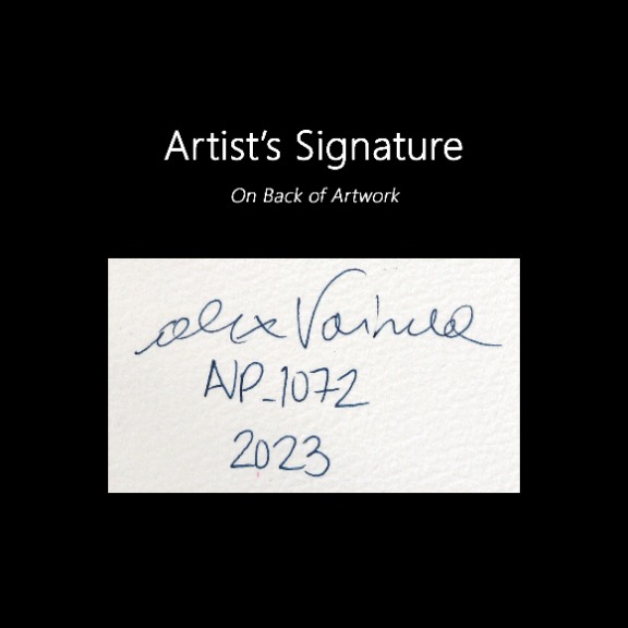 Alex Voinea: avp_1072 image 6