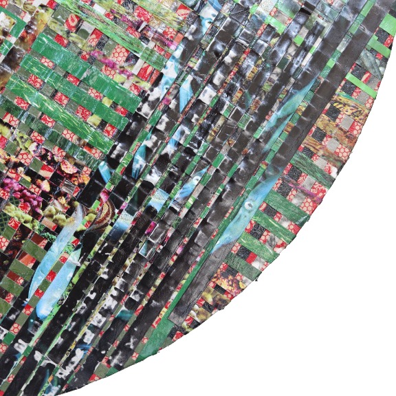 Ashleigh Sumner: Birds of Paradise Lost image 6