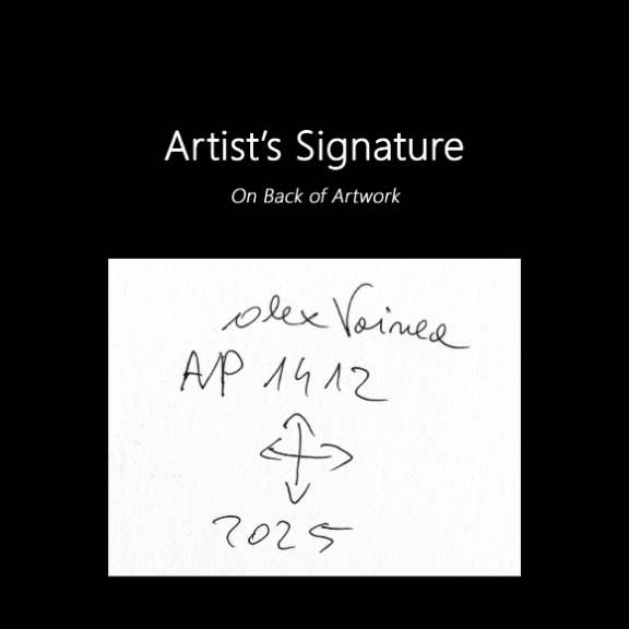 Alex Voinea: avp_1412 image 6