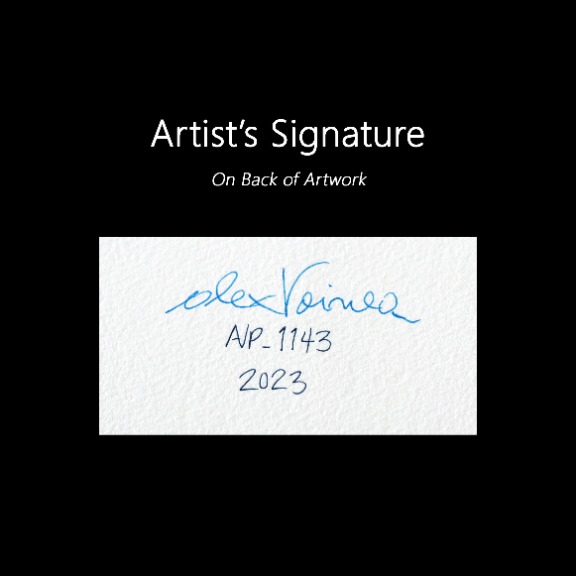 Alex Voinea: avp_1143 image 6