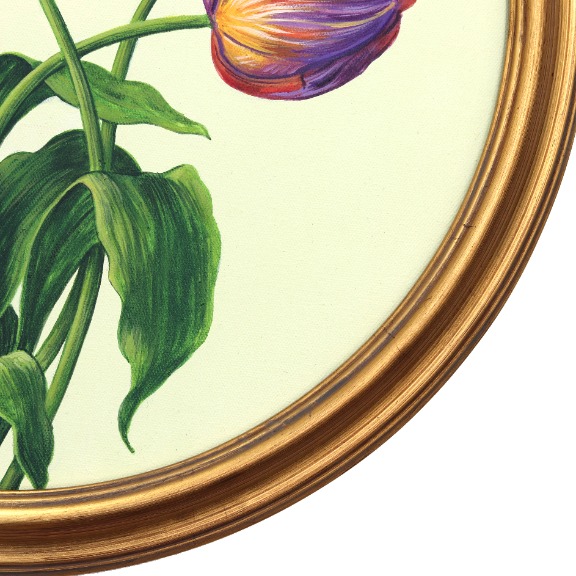 Carlos Gamez de Francisco: Bee and Tulips image 6