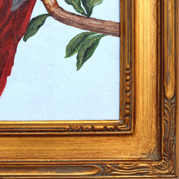 Carlos Gamez de Francisco: New World Parrots image 6