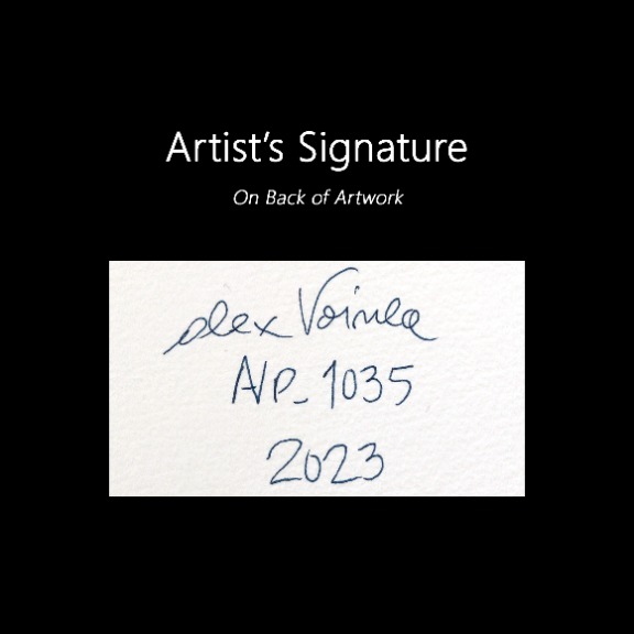 Alex Voinea: avp_1035 image 7