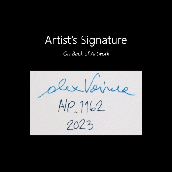 Alex Voinea: avp_1162 image 7