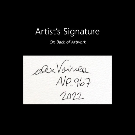 Alex Voinea: avp_967 image 7