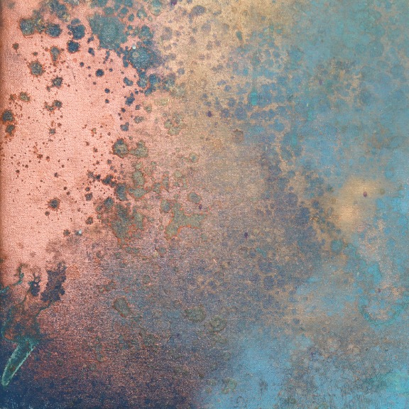 Charlotte Elizabeth: The Light image 7