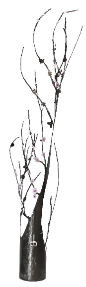D'Arcy Bellamy: Spring Blossoms image 8