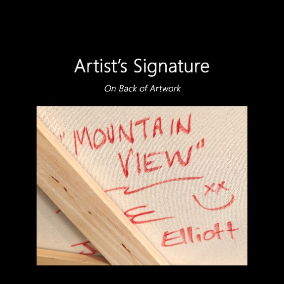 Jonjo Elliott: Mountain View thumb image 9