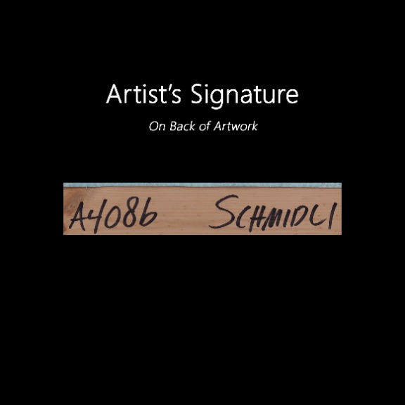 Marco Schmidli: A4106 image 9