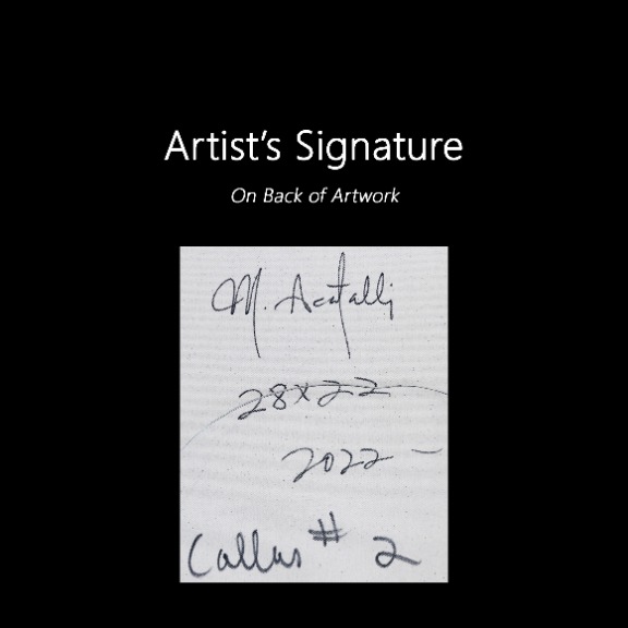 Mark Acetelli: Callas #2 image 9