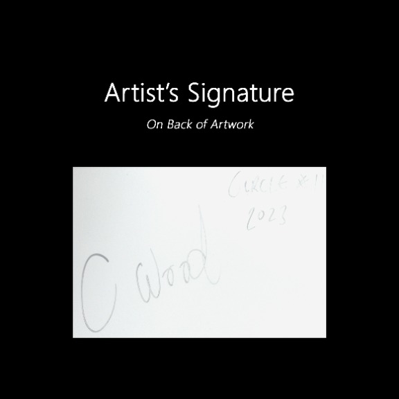 Chris Wood: Circle 11 image 9