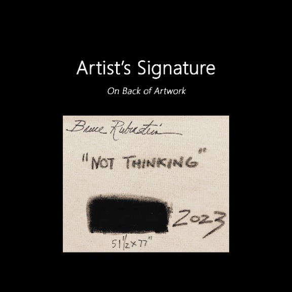 Bruce Rubenstein: Not Thinking image 9