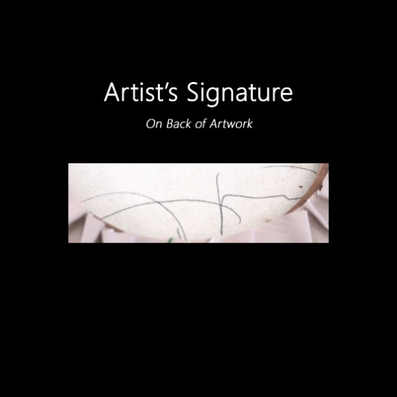 Carlos Gamez de Francisco: A Duck Flying Above the Clouds image 9