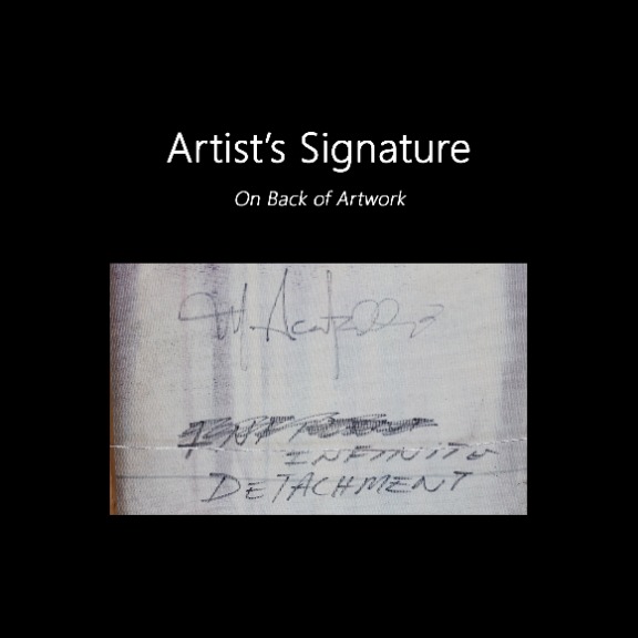 Mark Acetelli: Infinite Detachment image 9
