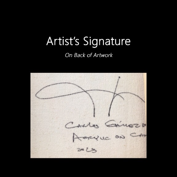 Carlos Gamez de Francisco: New World Parrots image 9