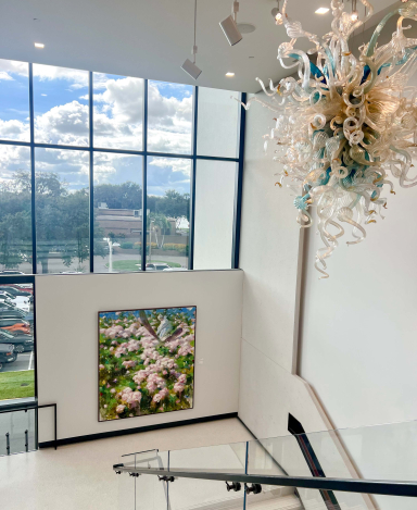 Reynier Llanes Acquired by AGB Museum of Art: March 1, 2026 - March 1, 2027